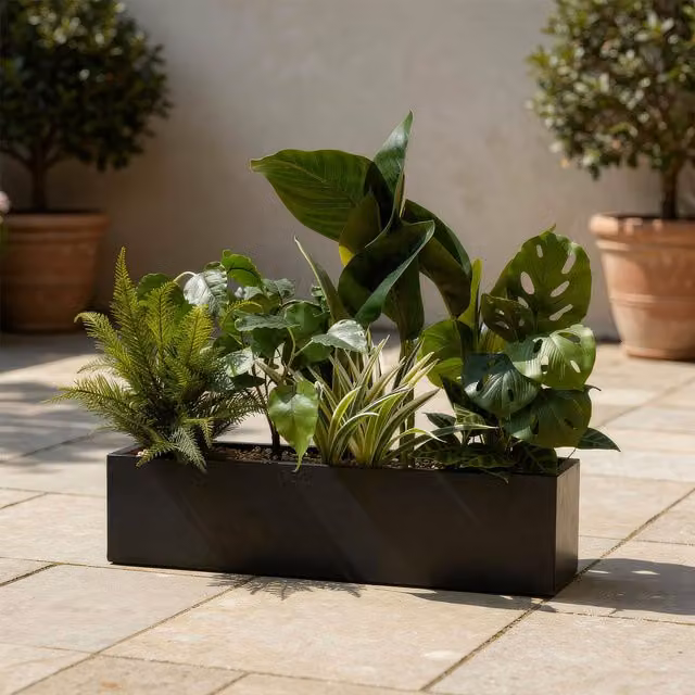 Scottish Everlastings Ltd Modern Rectangular Outdoor Container in Green or Black – 1