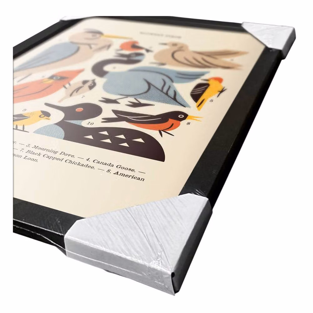 Midwest Birds Framed Paper Poster in Beige and Multicolour – 3