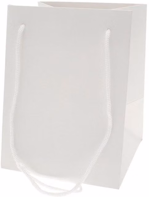 Kingsbury Gifts White Paper Hand Tie Gift Bag, Height: 25 cm