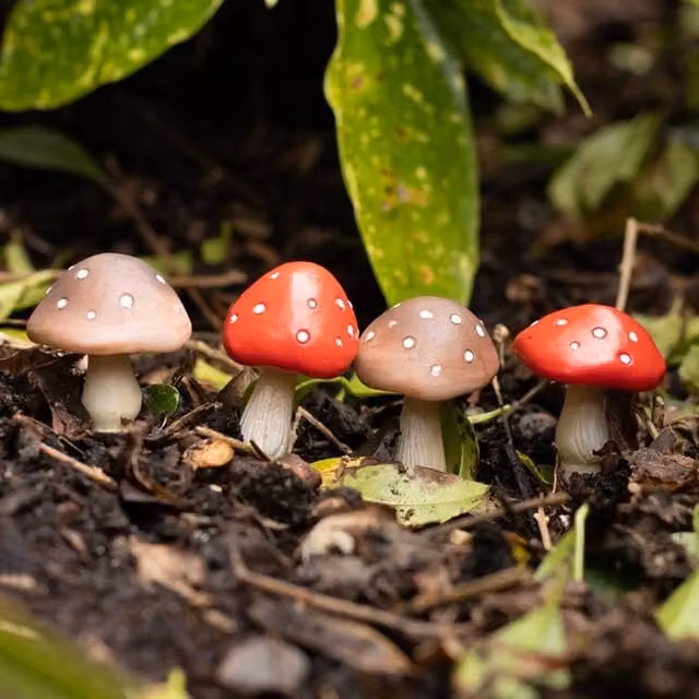 Uniqueful Set of 4 Mini Mushroom Ceramic Plant Pot Pals in Red and Multicolour – 1