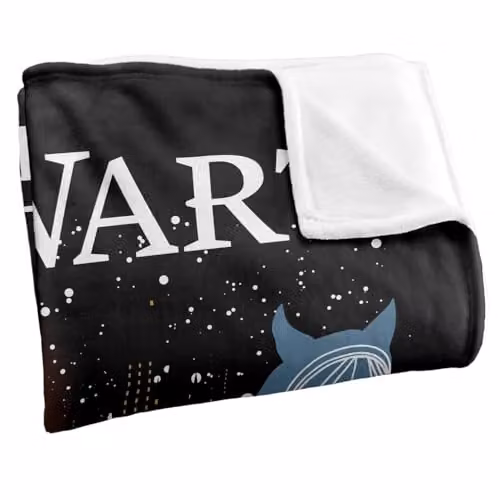 LOGOVISION Harry Potter Hogwarts Christmas in the Snow Super Soft Silky Touch Fleece Throw Blanket, Multicolour, W: 127 cm x L: 152.4 cm – 2