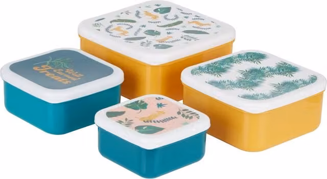 Orsina Set of 4 Stackable and Nestable Plastic Lunch Boxes in Multicolour with Snap Lids
