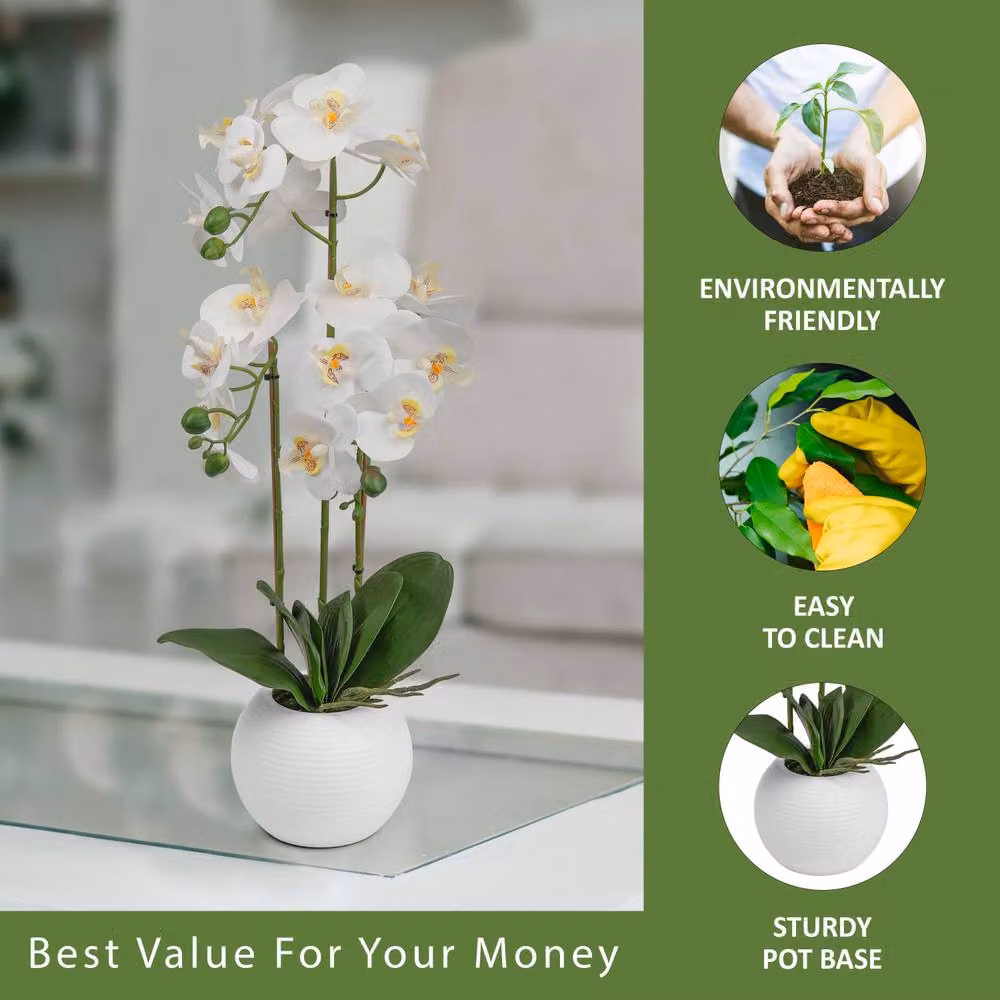 Crystals White Realistic Artificial Orchid Flower in a Round Potted Tabletop Display, Height: 60 cm – 2