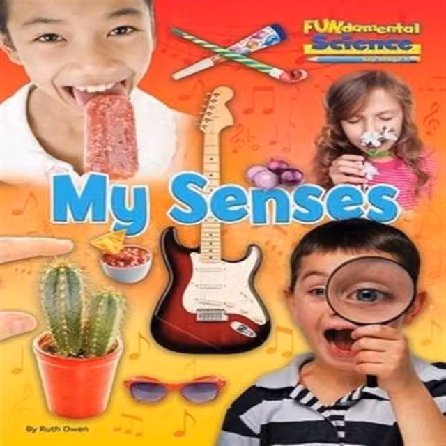 My Senses by Ruth Owen Paperback Book, Multicolour