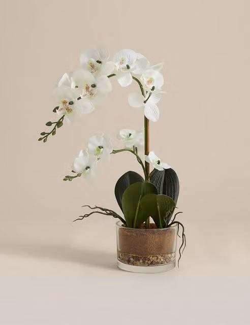 M&S Artificial White Medium Orchid in a Transparent Glass Pot