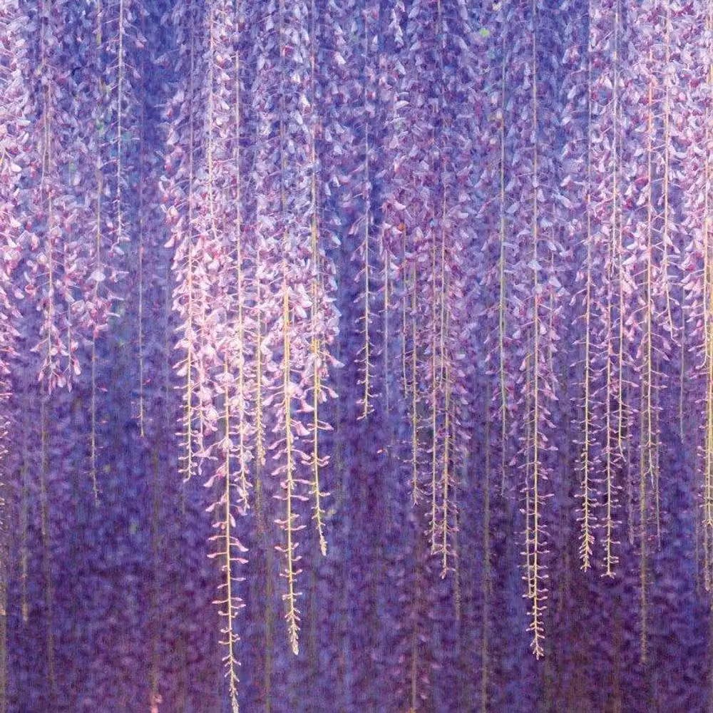 Grandeco Cascading Wisteria Flowers Purple Floral Repeatable Wallpaper Mural – 5