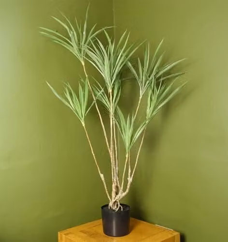 Leaf Design Realistic Potted Artificial Green Palm Tree with Black Pot, H 125 cm x W 70 cm x D 70 cm