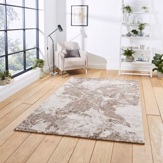 Terrys Modern Abstract Rectangular Rug in Beige and Silver, W: 120 cm x L: 170 cm