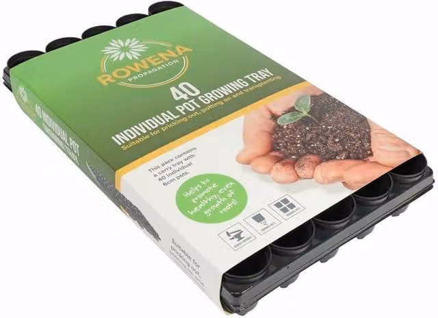 KDMD Grow Tray with 2 Black Pots, W: 40 cm, H: 6 cm