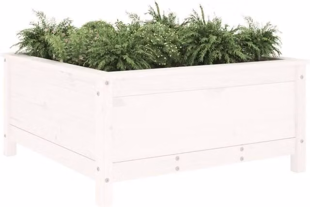 Berkfield Home Beautiful Garden Planter Tub in White Solid Wood, W: 82.5 cm, D: 82.5 cm, H: 39 cm