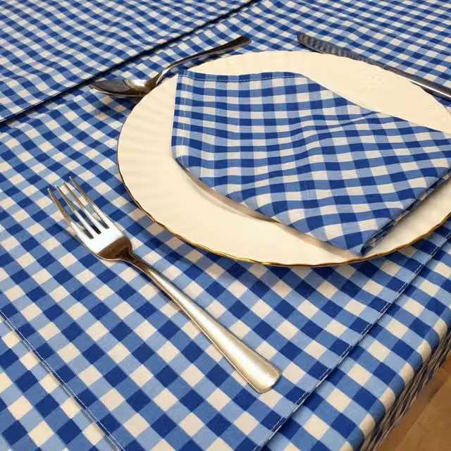 Kitchenwise Blue Checked Gingham Table Napkins in Bluebell