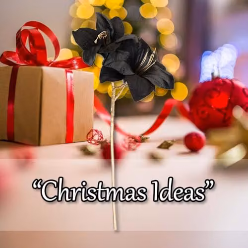 VFM e-Store Black Amaryllis Christmas Spray Decoration, H 56 cm x W 22 cm – 4
