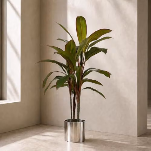 Leaf Design UK Botanik 100cm Artificial Potted Dracaena Tropical Plant in Green with Silver Metal Planter – 2