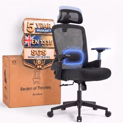 Realm of Thrones Ergonomic Black Fabric Office Chair with Headrest and Armrests – 9