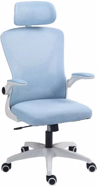 ERGOVEXA Ergonomic High Back Mesh Swivel Office Chair in Blue