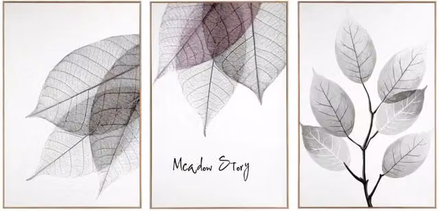 Nielsen Design Set of 3 Framed Botanical and Floral Wall Art Prints in Sand and Multicolour
