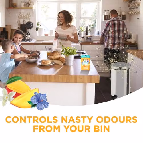 Bin Buddy Bin Freshener Deodoriser Powder Orange 450g – 3