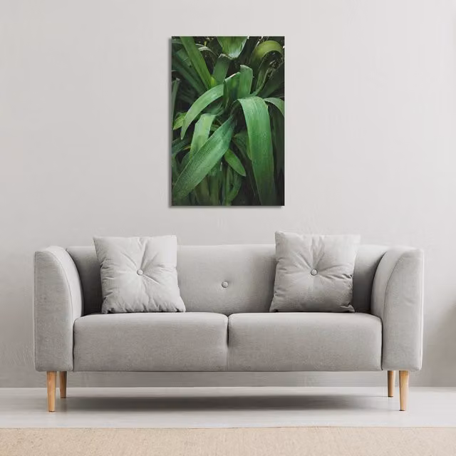 Benjamin Tate Design LTD Atmospheric Background Selective Focus Floral Canvas Print in Green, W: 152 cm, H: 101 cm