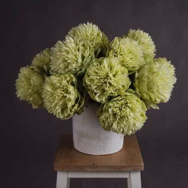 Lemon Pavilion Green Peony Artificial Flower in Textile and Plastic, W15 x D15 x H43 cm