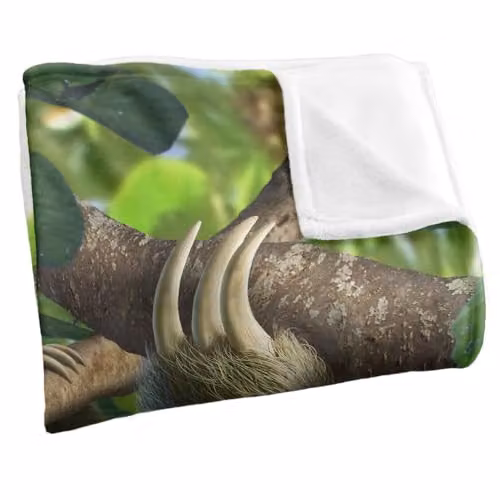 JQ Licensing Jlo Sloth Family Butterlies Super Soft Snuggle Blanket, Multicolour, W/D/H: 91 x 147 cm – 2