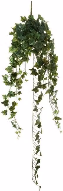 KDMD Green English Ivy Hanging Plant 130cm