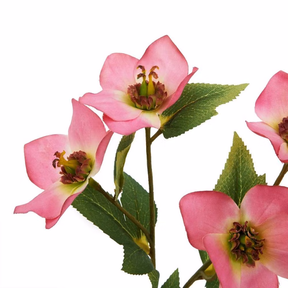 Lemon Pavilion Artificial Pink Variegated Hellebore Flower, 1 Stem, H47 cm – 2