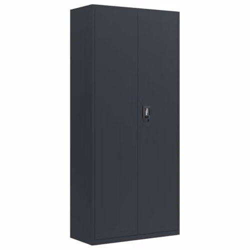 vidaXL Anthracite Steel File Cabinet with Adjustable Shelves and Lock, W: 90 cm, D: 40 cm, H: 200 cm