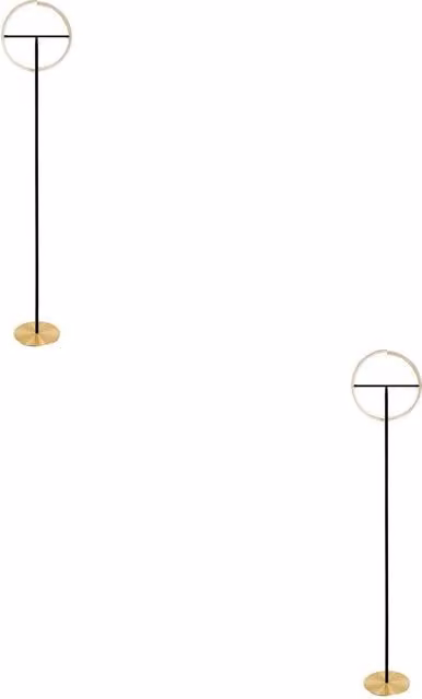 Loops 2 Pack Modern LED Ring Floor Lamp in Brushed Brass and Black