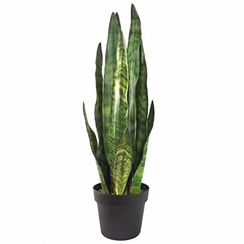 Leaf Design Green Artificial Sansevieria Zeylanica Potted Plant, Height: 70 cm – 1