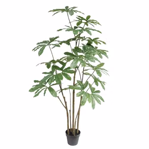 Botanik Large Realistic Dwarf Umbrella Artificial Tree, Green, H 150 x W 80 x D 80 cm