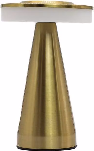 KDMD Touch Control Tall Stem Tabletop Lamp in Copper and Gold with USB Rechargeable Battery