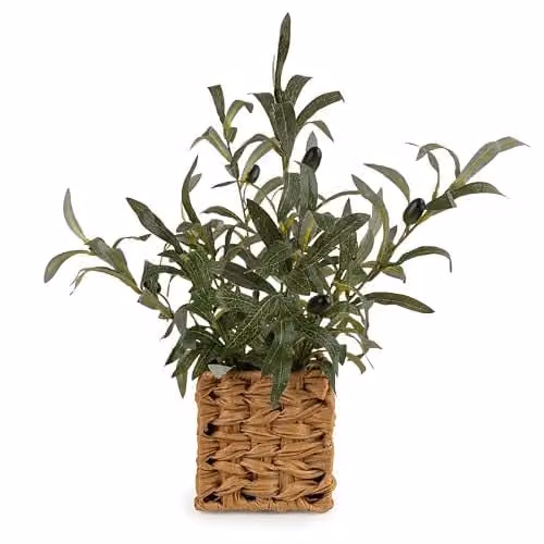 Madison & Mayfair Artificial Mediterranean Olive Tree in a Green and Brown Rattan Basket, Height: 43.18 cm – 1