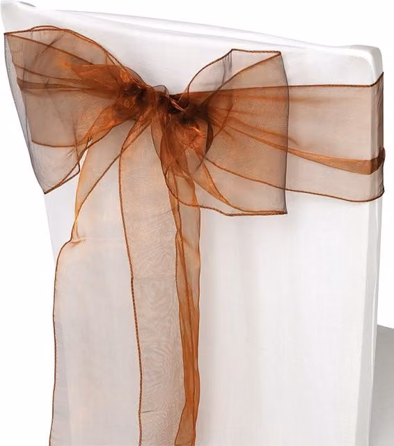 Neel Blue Set of 25 Light Brown Organza Sashes for Party Decoration, W: 17 cm, L: 280 cm – 1