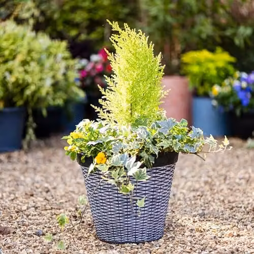 Garden Gear Wicker Style Stone Effect Planter, Grey, Diameter: 40 cm, Height: 30 cm – 3