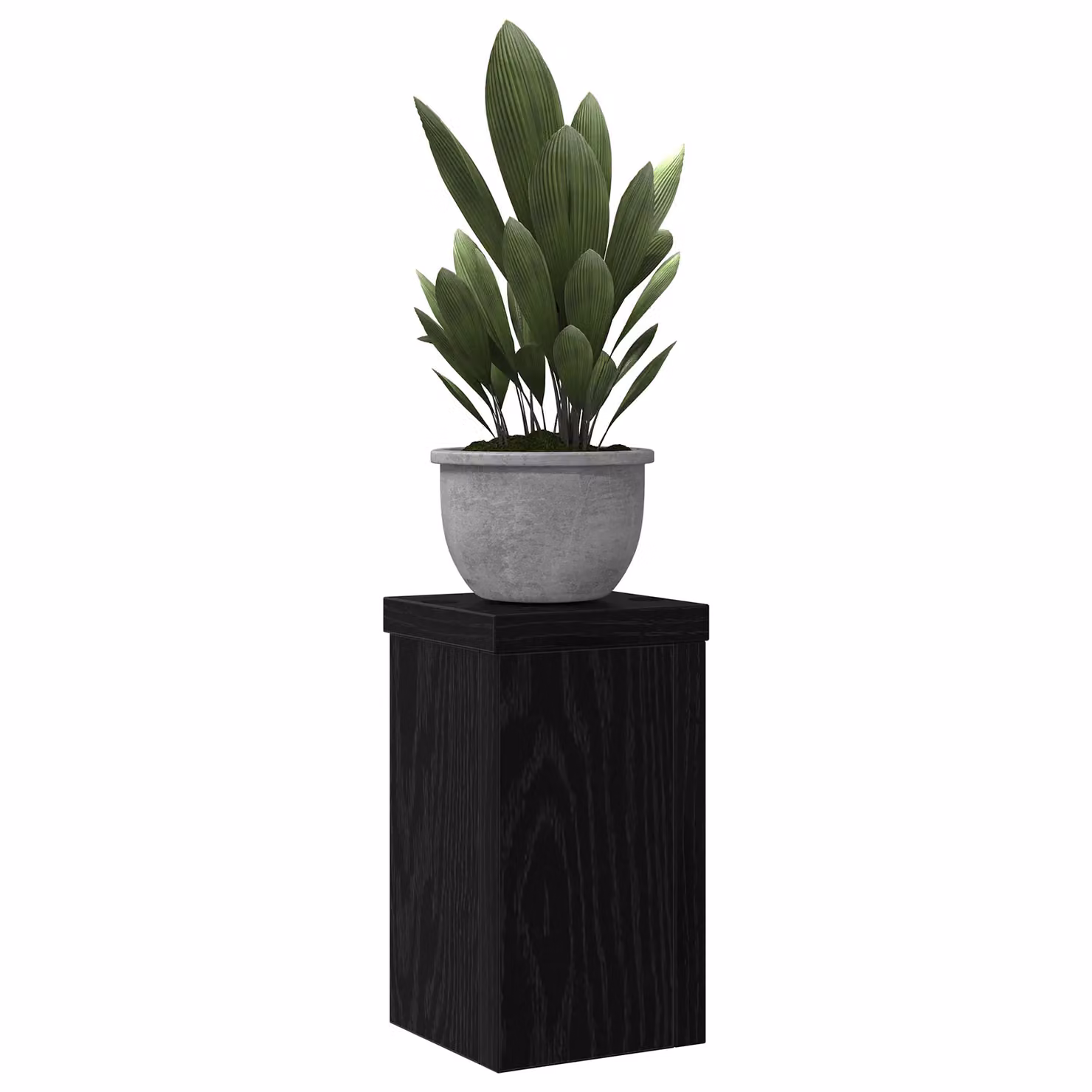 Berkfield Home Black Oak Plant Stand Set of 2, W/D/H: 10 x 10 x 18 cm – 3