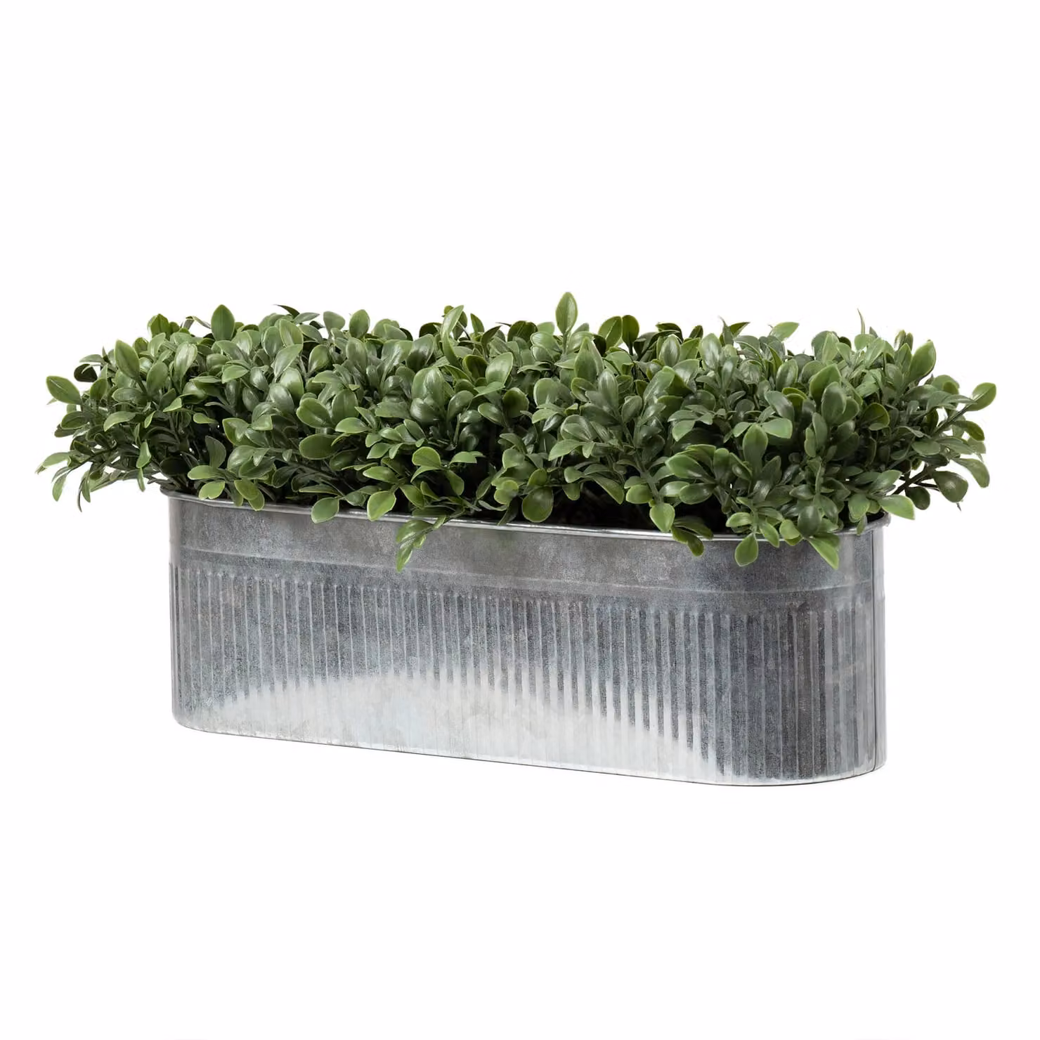 Scottish Everlastings Ltd Green UV Resistant Boxwood Trough, W: 51 cm, D: 23 cm – 3
