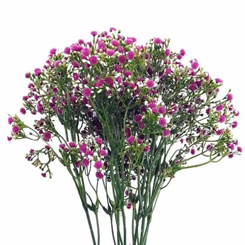 Leaf Design Pink Gypsophila Artificial Flowers, Pack of 6, Height: 55 cm