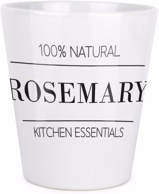 Purely Home Minimalist Round Ceramic Tabletop Plant Pot in White or Black