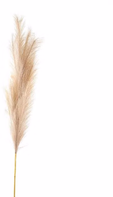 KDMK Large Bleached Faux Pampas Grass Stem for Boho Organic Decor in White and Beige