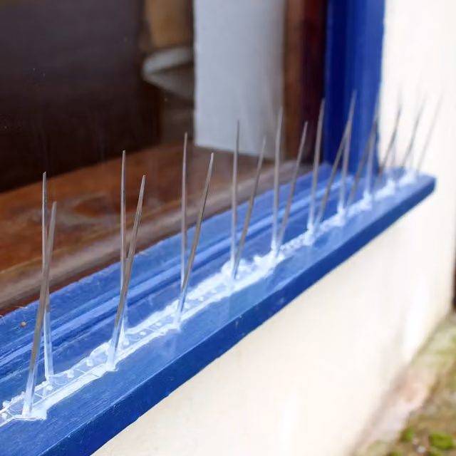 Actiaspet Plastic Bird Spikes Animal Deterrent in Transparent and White