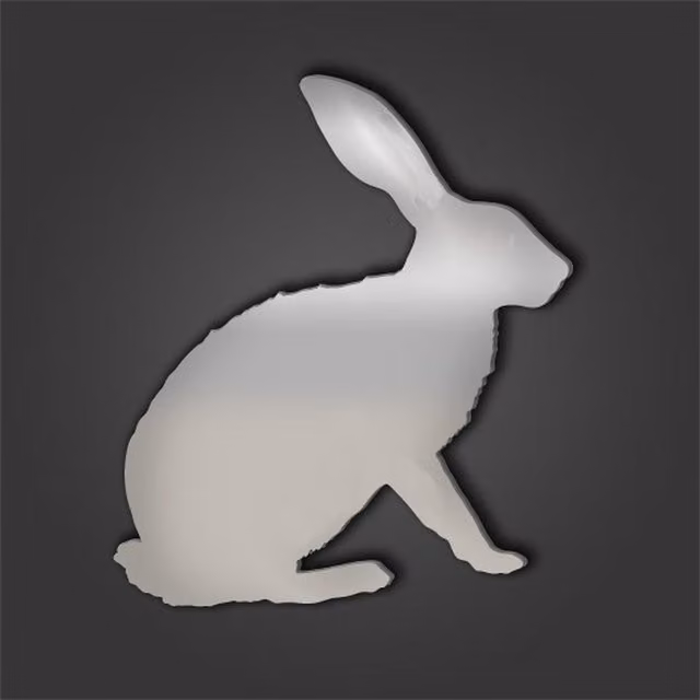 Rabbit Style 7 Silver Acrylic Wall Mirror for Pets, 50 x 50 cm