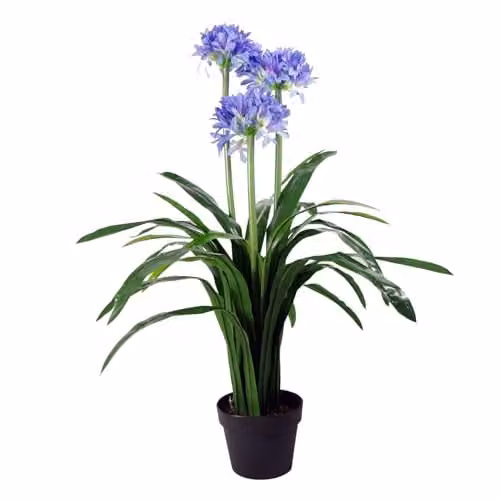 Leaf Design UK Blue Agapanthus Artificial Blossom Tree in Pot, Height: 90 cm – 1