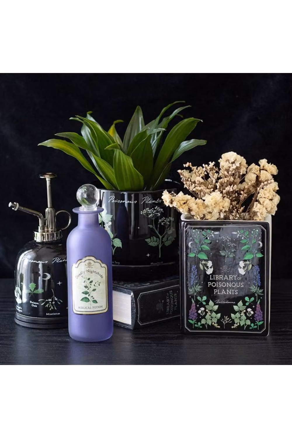 KDMD Poisonous Plants Ceramic Tabletop Pot in Black – 3