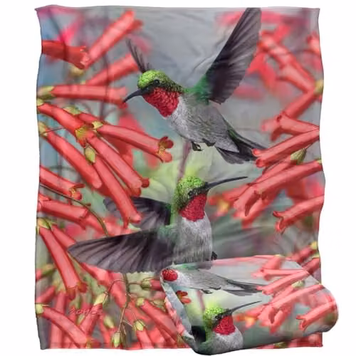 JQ Licensing Royce Mcclure Hummingbirds Silky Touch Super Soft Fleece Throw Blanket, White and Multicolour, W: 152 cm, D: 127 cm – 1