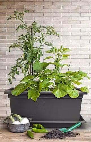 Gardenico Magnus Self-Watering Mobile Living Wall Planter Trough in Anthracite, W: 79 cm, D: 38 cm, H: 39 cm – 4