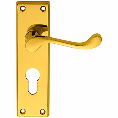 Loops Pair Victorian Scroll Lever on Euro Lock Backplate in Polished Brass, W: 150 mm, H: 43 mm
