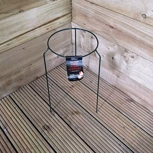 Tom Chambers Green Metal Herbaceous Garden Plant Support Ring, W/D/H: 40 x 20 x 20 cm – 1