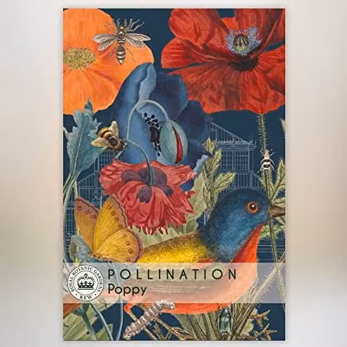Thompson and Morgan Kew Pollination Collection Wild Poppy Papaver rhoeas Red and Multicolour Flower Seeds, Approx 2000 Seeds
