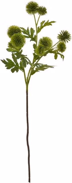 Hill Interiors Green Globe Thistle Artificial Flower Spray