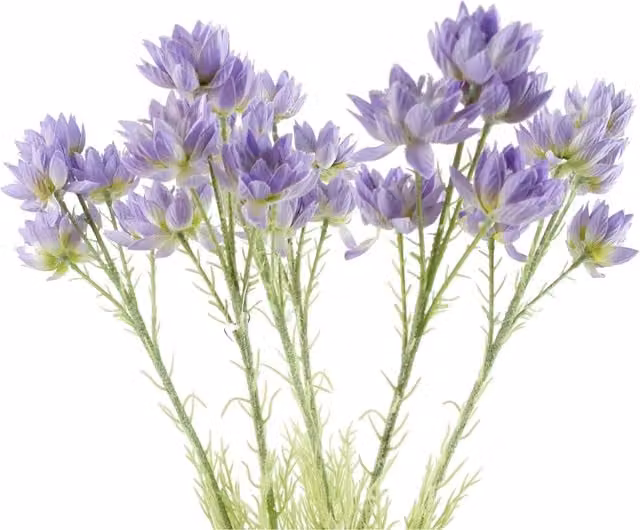Pack of 6 Purple Textile Starflower Stems with Leaves, 30 Flowers, Height: 60 cm